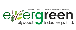 Greenply Plywood Manufacturer in Yamunanagar